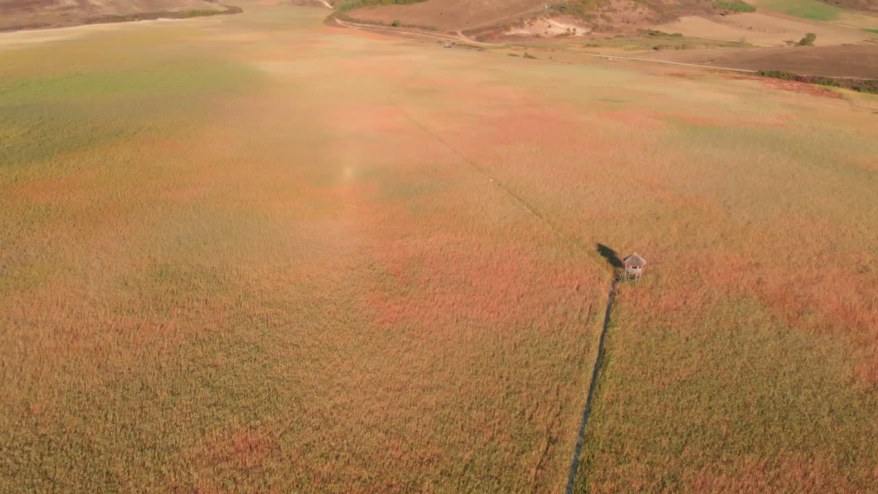 Flight above colorful green and orange grassland in flat meadow towards sloping brown mountain hills, overhead aerial approach