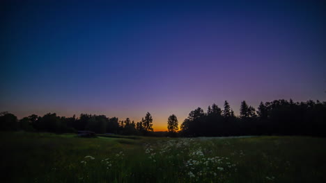 timelapse of sunrise on green meadow with forest in background