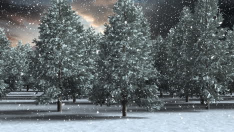 snow falling over multiple trees on winter landscape against dark clouds in the sky