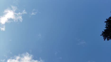 vértigo espiral cielo bosque vertiginoso giro en espiral en un día de verano donde se siente como una vista borracha del exterior mientras se pierde el control en una enfermedad de giros oculares incontrolables