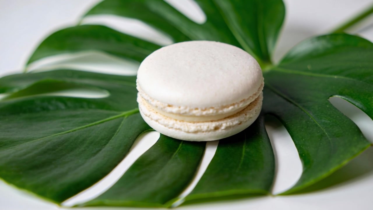 Pulling camera moving closer toward centered white macaron on monstera leaf, highlighting texture