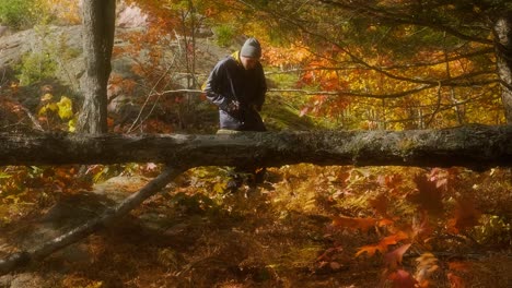 exploring a dreamy fall forest, attractive man enjoys nature colors, wide tilt up sunny day in slow motion