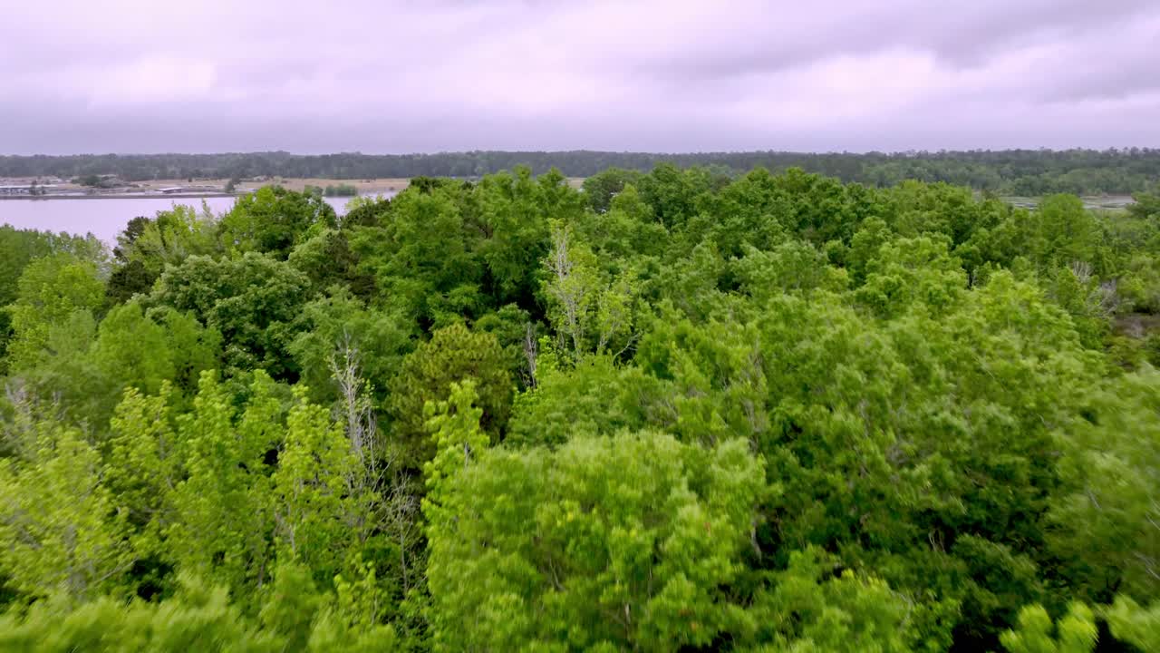 lago eufaula volando sobre las copas de los árboles para revelar una garza y un barco de pesca en la línea estatal de alabama y georgia