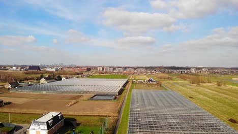 aerial view over industrial agricultural greenhouses in barendrecht