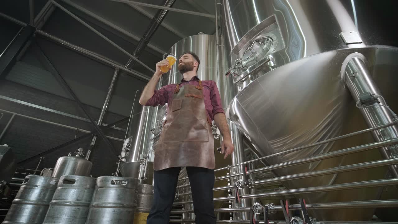 Young brewer wearing a leather apron is tasting beer at a modern brewery