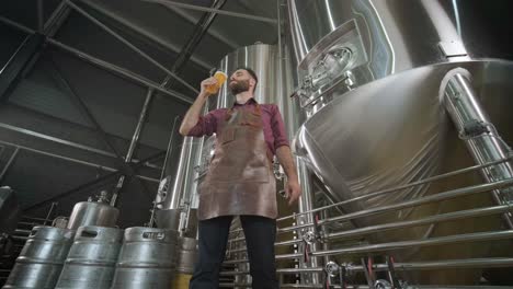 young brewer wearing a leather apron is tasting beer at a modern brewery