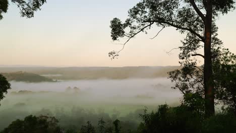 timelapse of early morning mist swirling in a valley