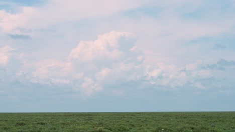 Stormy-Dramatic-Storm-Clouds-Background-and-Plains-in-Africa-in-Rainy-Season-in-Serengeti-National-Park-in-Tanzania-in-Africa,-Copy-Space-and-Horizon-with-Dramatic-Sky