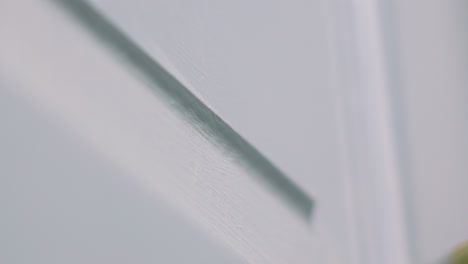 painting a white door