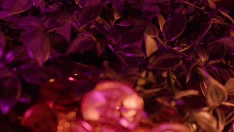 bitcoin cryptocurrency: a pile of gold bitcoin coins among lush green leaves under pink lighting