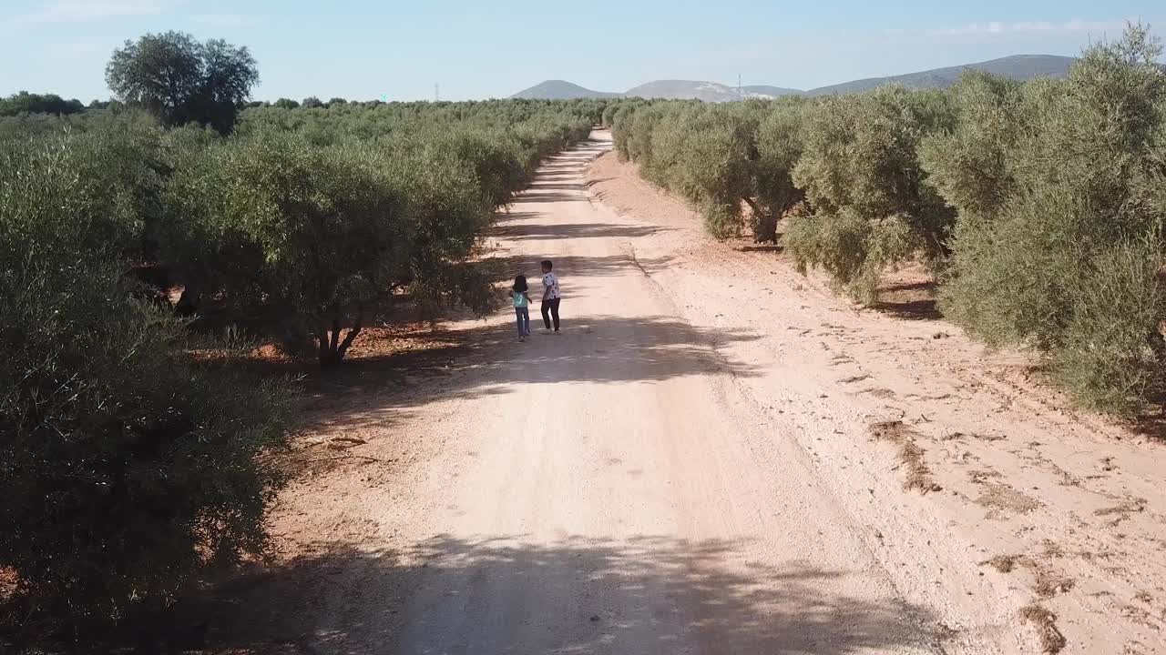 Drone video of two children running through olive trees