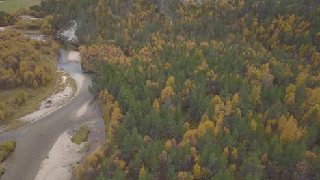 Autumn-colorful-forest