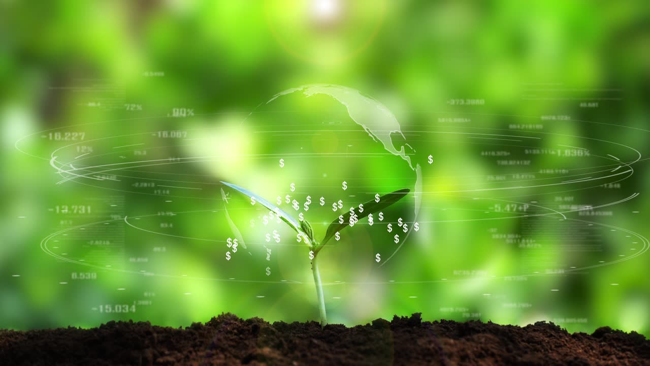 돈 나무 비즈니스 성장 개념 달러 기호 홀로그램 배경