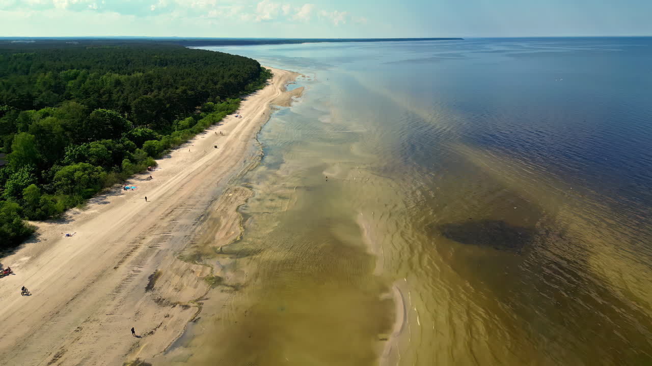 Droneoptagelse ovenfra af en drone, der flyver over en fyrreskov ved havet i Jurmala, Letland på en solrig dag.