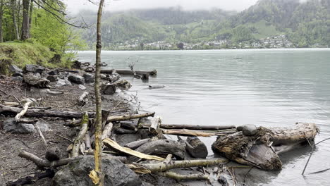 Statische-Ansicht-Der-Seenlandschaft-Mit-Holzstämmen-Am-Ufer