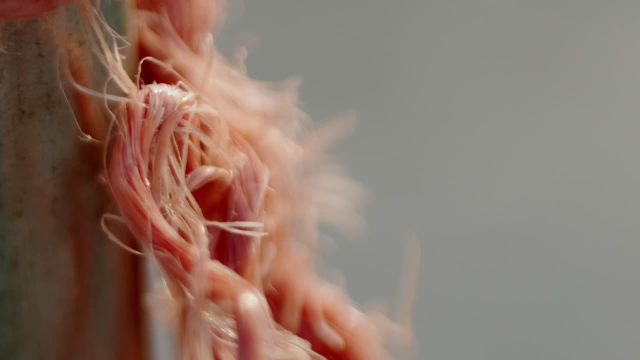 un primer plano de un pedazo de cuerda en el viento.