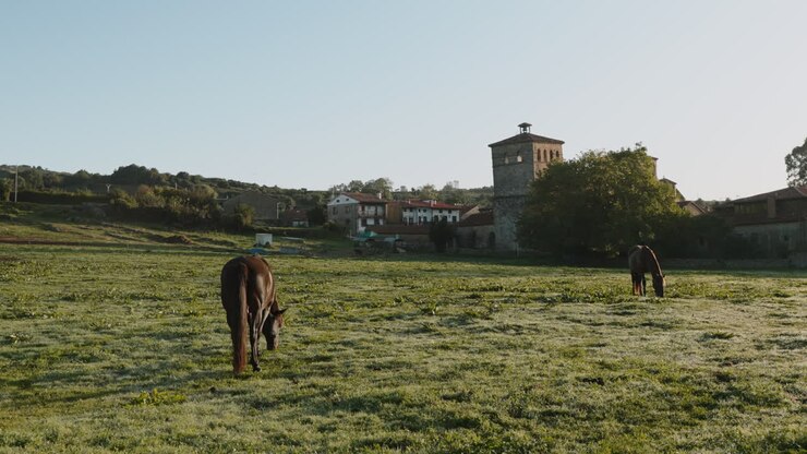 Horses Grazing in a Peaceful Village Landscape