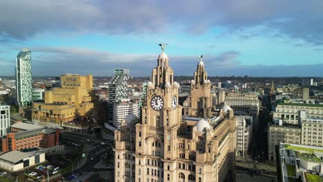 Lebervogel-Dreht-Sich-Gegen-Den-Uhrzeigersinn-–-Umkreist-Von-Einer-Drohne-An-Einem-Sonnigen-Morgen,-Im-Hintergrund-Die-Stadt-Liverpool