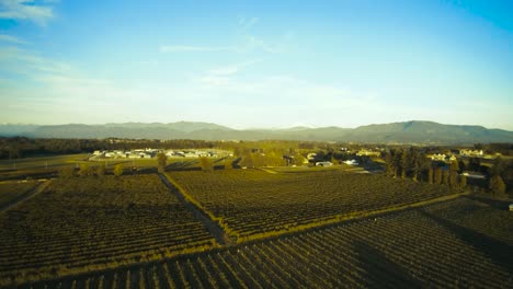 los campos extendidos de una granja al sol de la tarde
