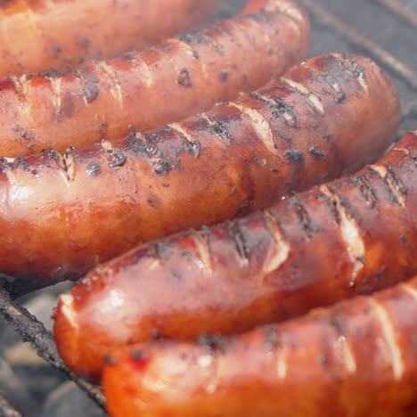 Nahaufnahme-Auf-Plazent-In-Reihe-Auf-Grill-Grill-Leckere-Bratwürste-Zeitlupe-Video