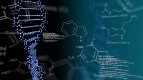 Moving-DNA,-text-and-digital-data-on-dark-background