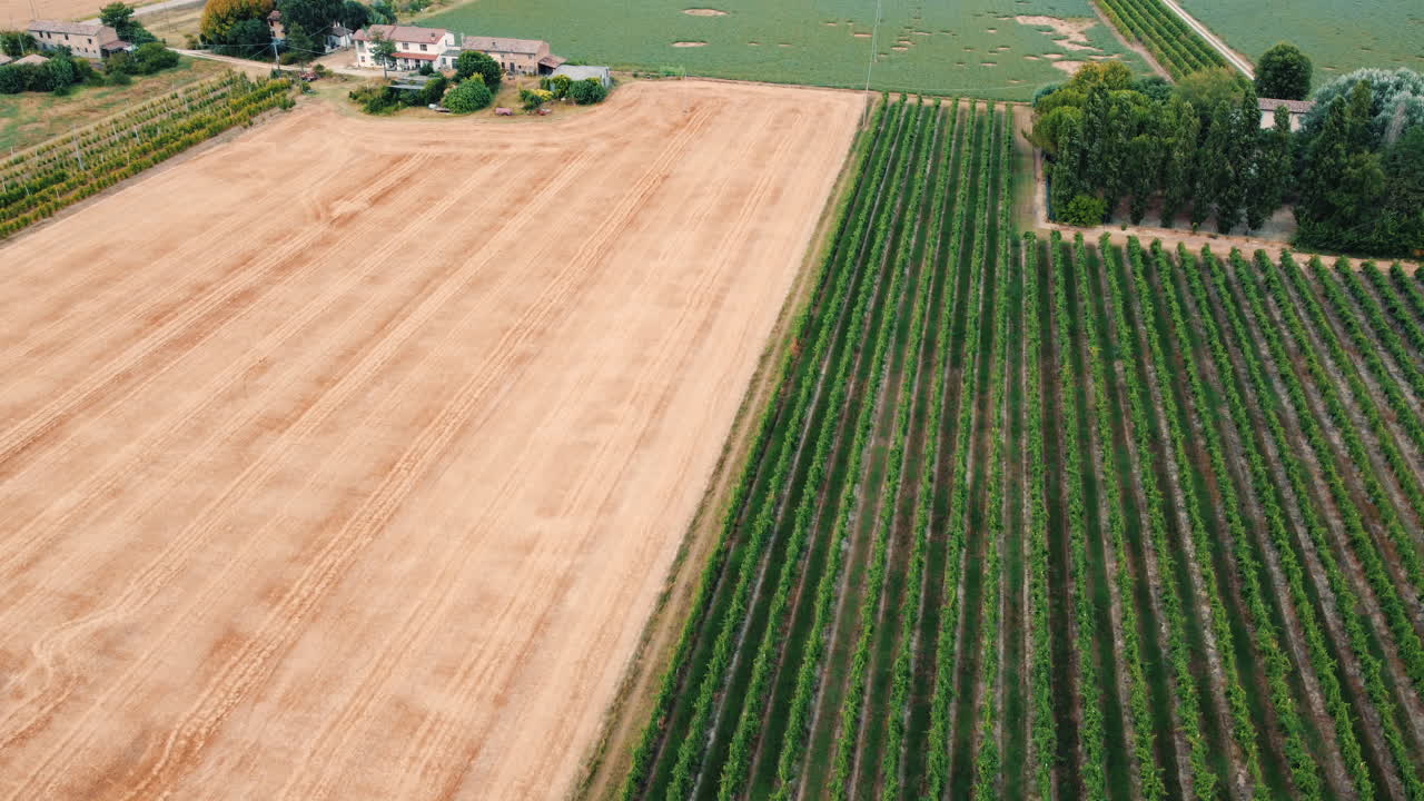 농경지 와 포도원 의 공중 사진