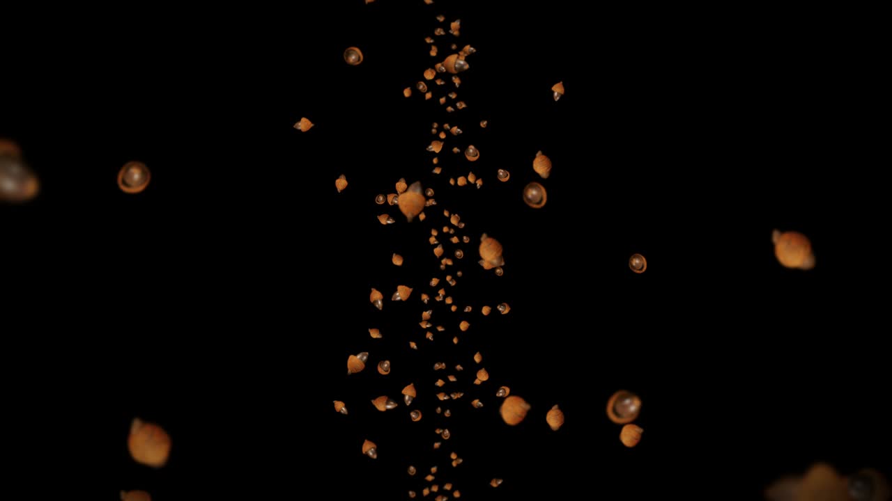 много осенних желудей на черном фоне. символ осени, дубовые орехи, подарки осени. 3d-анимация семен желудей, вращающихся. циклная анимация.