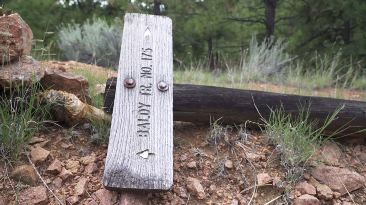 A fallen sign lays on the ground of a hiking trail