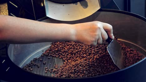 revolviendo los granos de café a mano mientras se calienta el tostador - cámara lenta