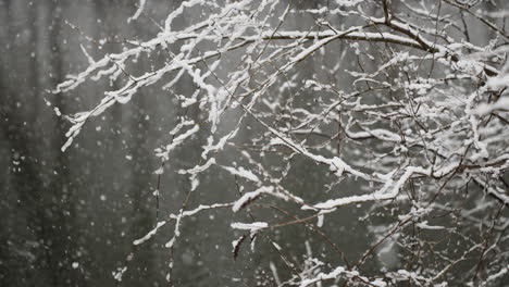 toma de profundidad de campo corta que muestra suburbios cubiertos de nieve mientras las escamas caen en cámara lenta