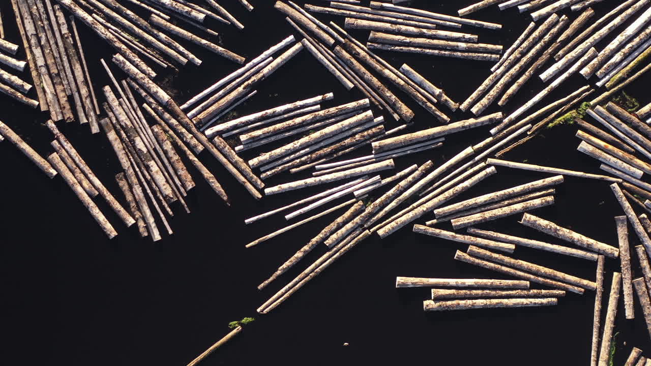 강에 떠 있는 통나무의 공중 드론 개요