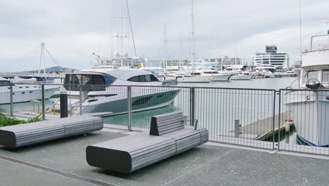nueva zelanda ciudad de auckland, puerto deportivo, muelle, muelle y vista cbd