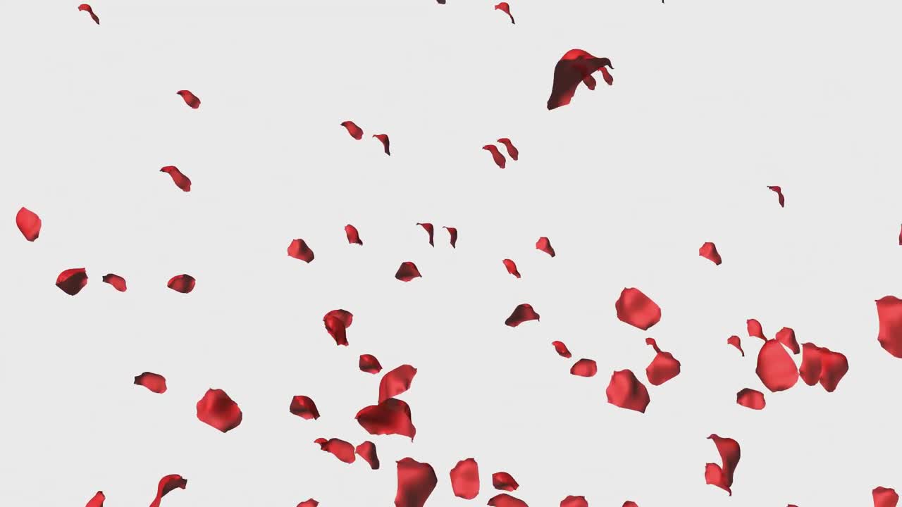 Animazione 3D di petali di rosa