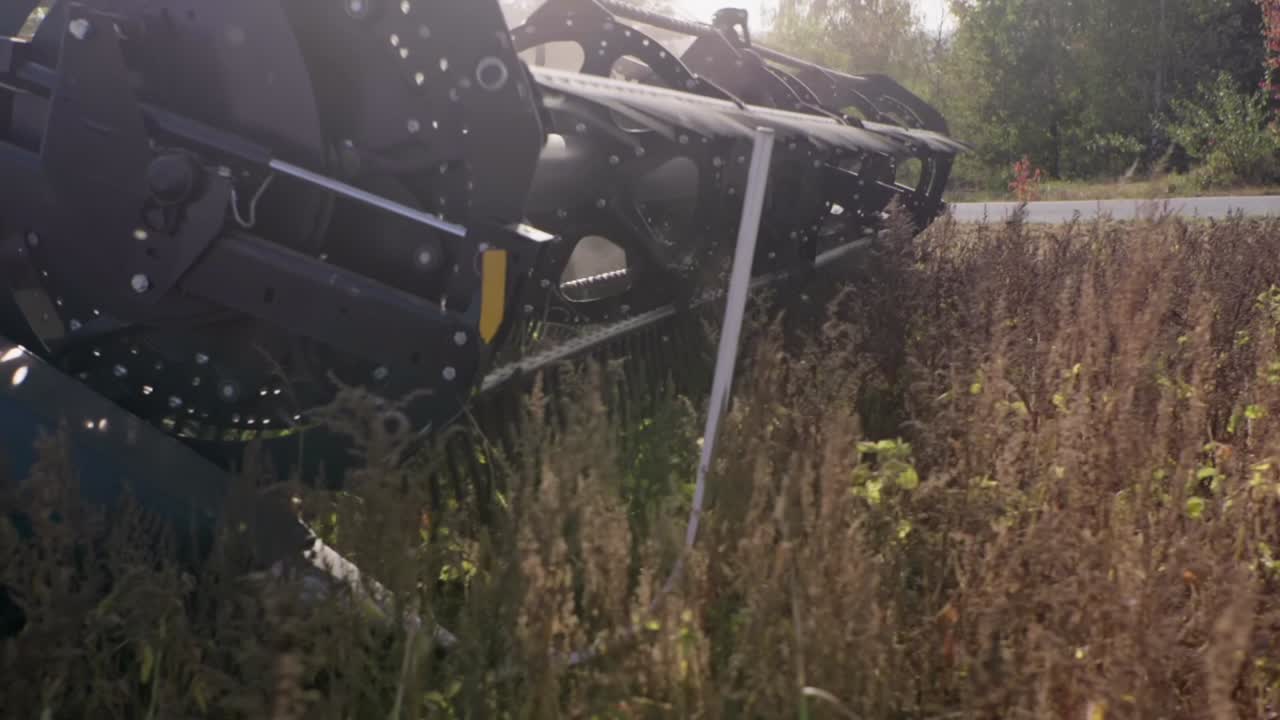 은 날에 유기농 콩을 수확하는 수확기 느린 동작