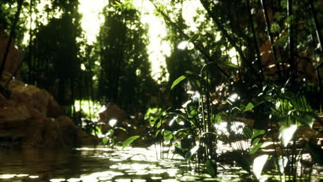 green-bamboo-grove-near-a-small-quiet-pond