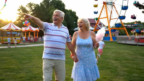 a happy elderly couple enjoying an amusement park evening