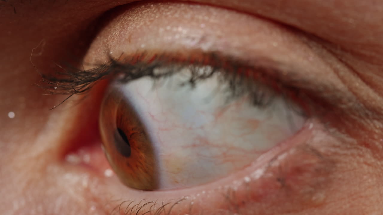 인간 눈의 클로즈업