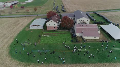 ariel view of an amish wedding on an autumn day with buggies, an amish playing volley ball as seen by a drone