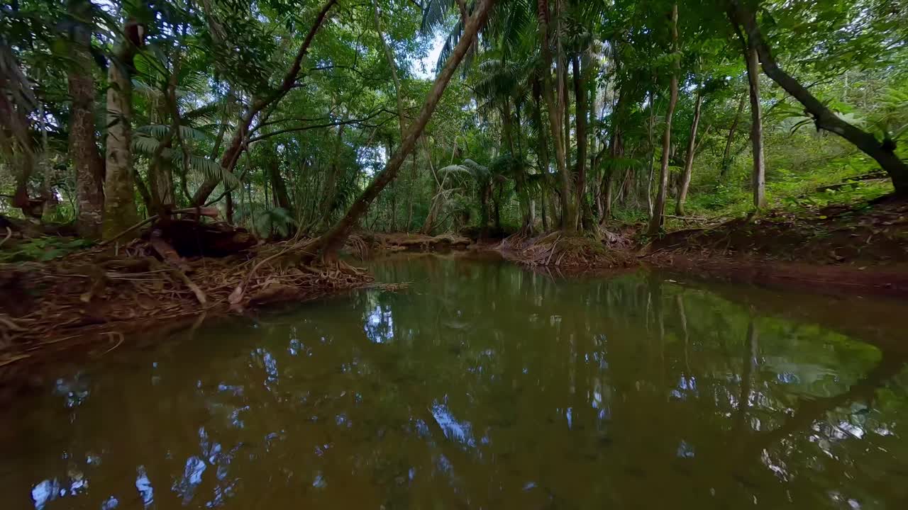 도미니카 공화국의 몬테 플라타, 열대 숲의 리오 코마테 상공을 낮게 날고 있는 드론