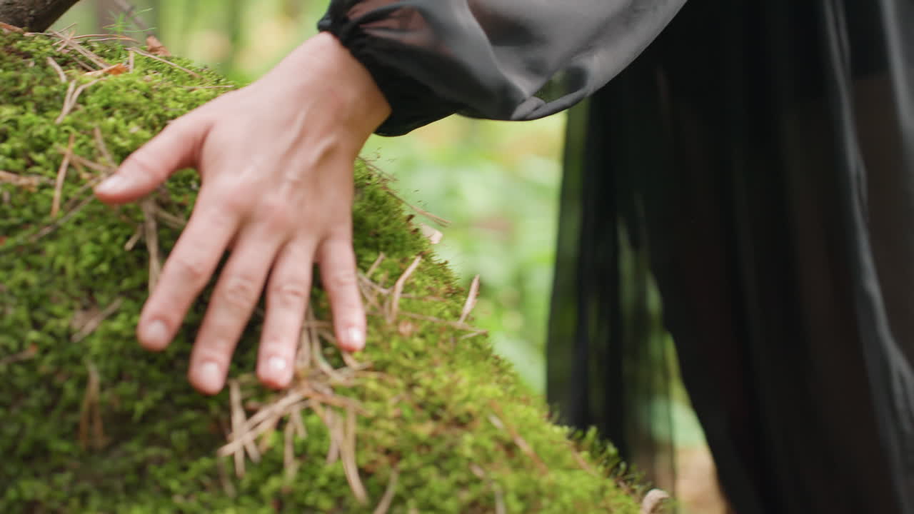 Lower body view of woman in flowing black sheer dress walking slowly through lush green forest toward old moss covered stump touch it gently, inner wear visible through her cloth