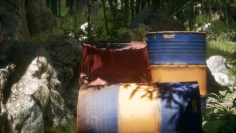 rusty barrels in green forest