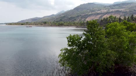 se eleva sobre la vegetación costera tropical de manglares y árboles en la escarpada costa de una remota isla tropical de destino