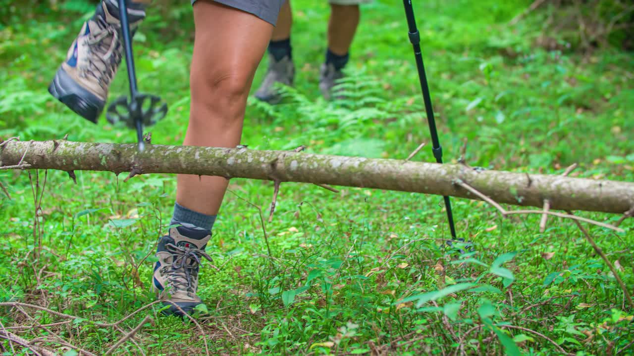 energetic couple hiking in Topla Valley and jumping over a brunch of a tree