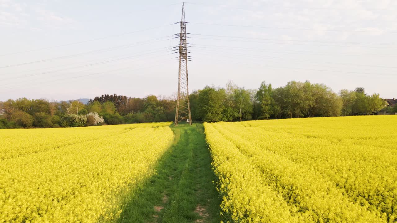 독일, 유럽 헤세의 멋진 시골에 있는 아름다운 노란 유채 농장