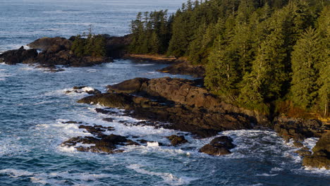 drone video at sunset in ucluelet british columbia, canada over the ocean and forest