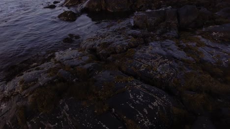 aerial of a shore at sunset on lofoten, norway