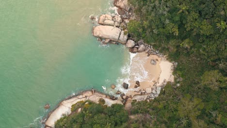 vista aérea de arriba hacia abajo de la playa del paraíso secreto brasileño con agua de color turquesa ubicada en bombinhas, santa catarina, brasil