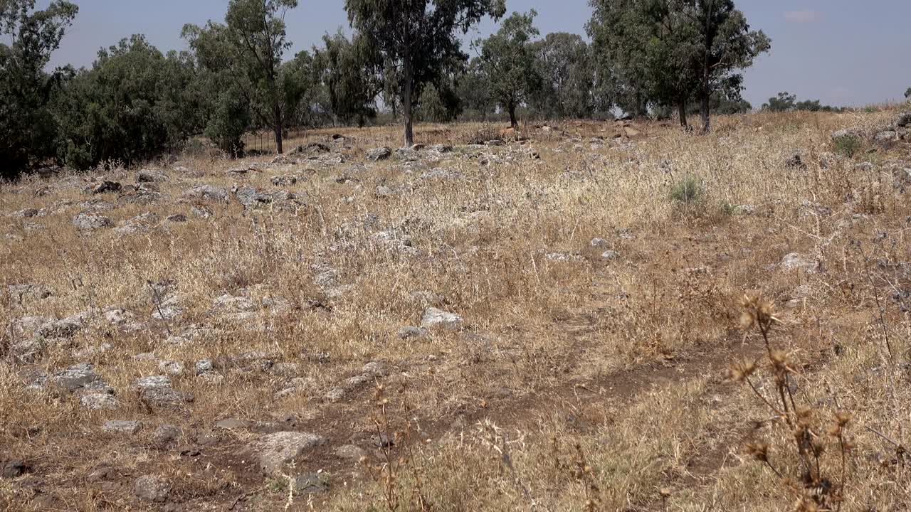 이스라엘에서 로마 도로가 있던 곳의 돌이