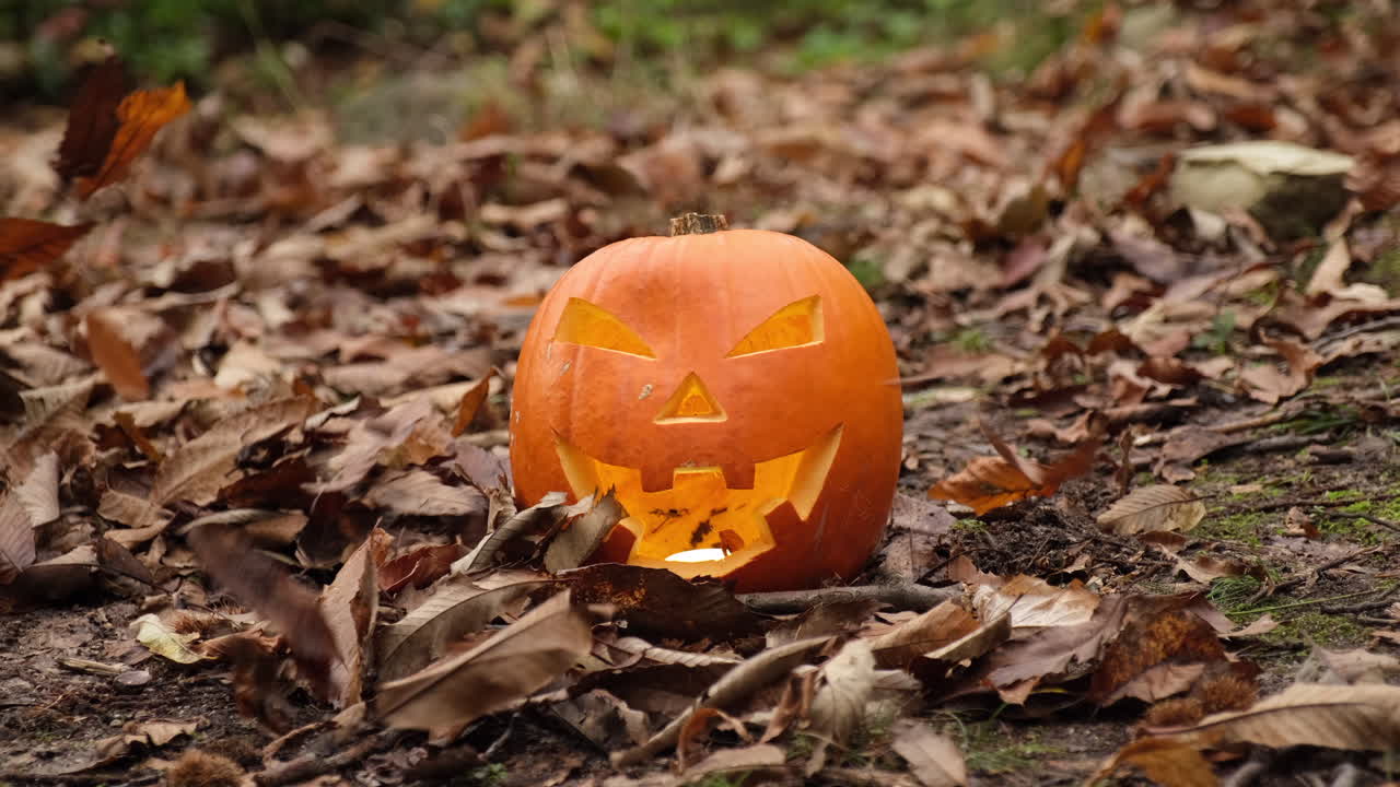 halloween cara de calabaza sonriente espeluznante y hojas de follaje de otoño movidas por el viento