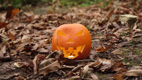 halloween spooky grinning pumpkin face and autumn foliage leaves moved by the wind